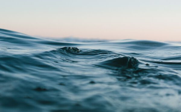 /Magazine/2020/Joy/matt-hardy-6ArTTluciuA-unsplash.jpg