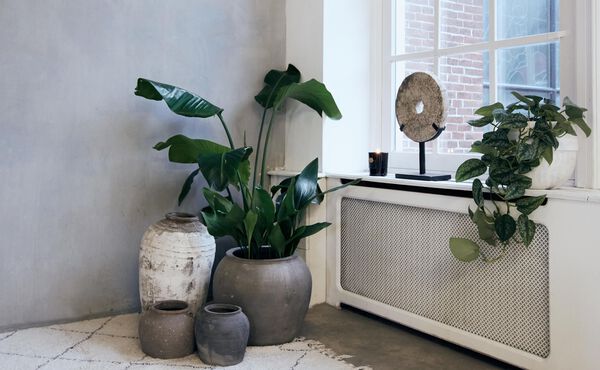 /Magazine/20180124-RitualsYogaProductie-02.jpg