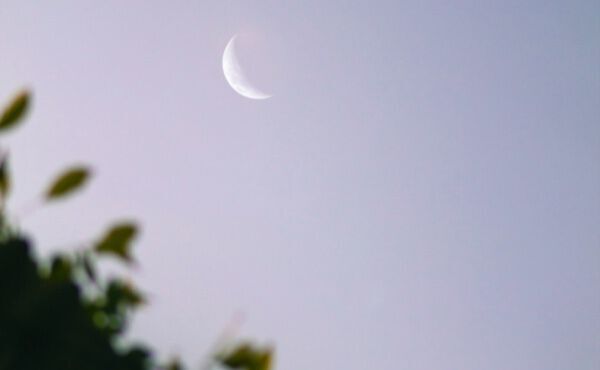 /Magazine/2021/January/Lunar_living_thumbnail.jpg