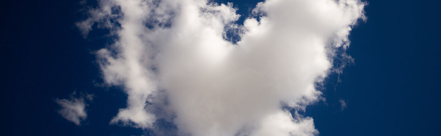 blog header