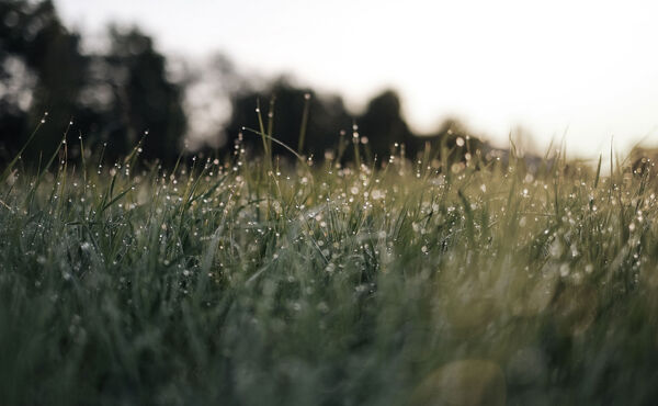 /Magazine/2019/slow-down-june/2019-07-11_This-Morning-Meditation-Will-Boost-Your-Energy-in-5-Minutes.jpg